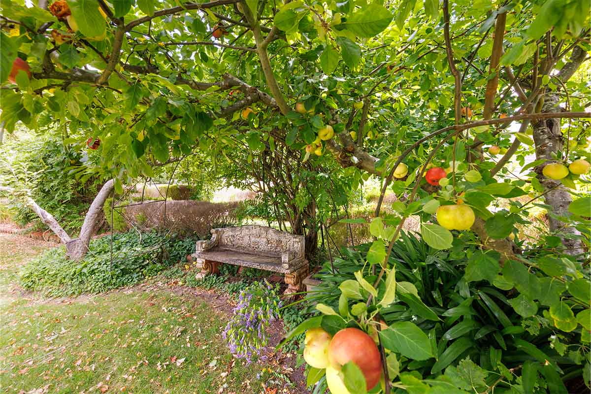 Our Garden