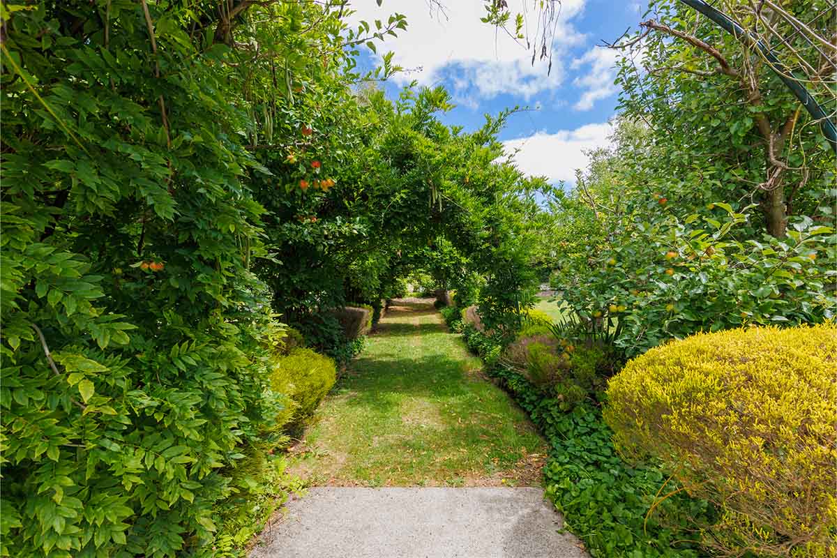 Our Garden